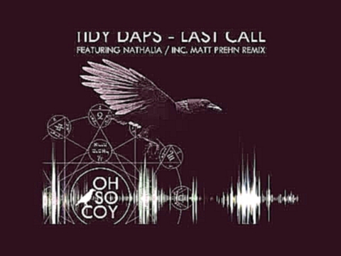 Видеоклип на песню Last Call (feat. Nathalia) [Vocal Dub] - Tidy Daps Ft. Nathalia - Tidy Daps Feat. Nathalia - Last Call (Vocal Dub)