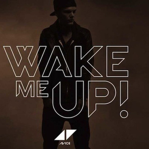 Avicii ft Aloe Black - Wake Me Up (Deenka MashUp 2k13) фото