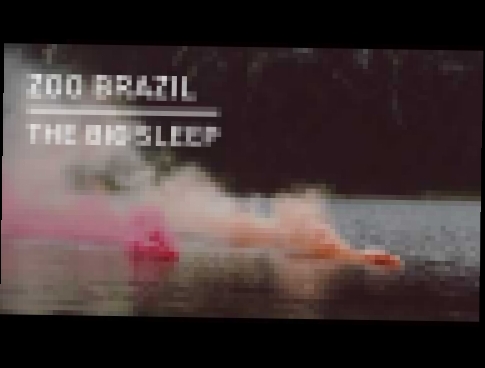 Видеоклип на песню Shift - Zoo Brazil - Shift