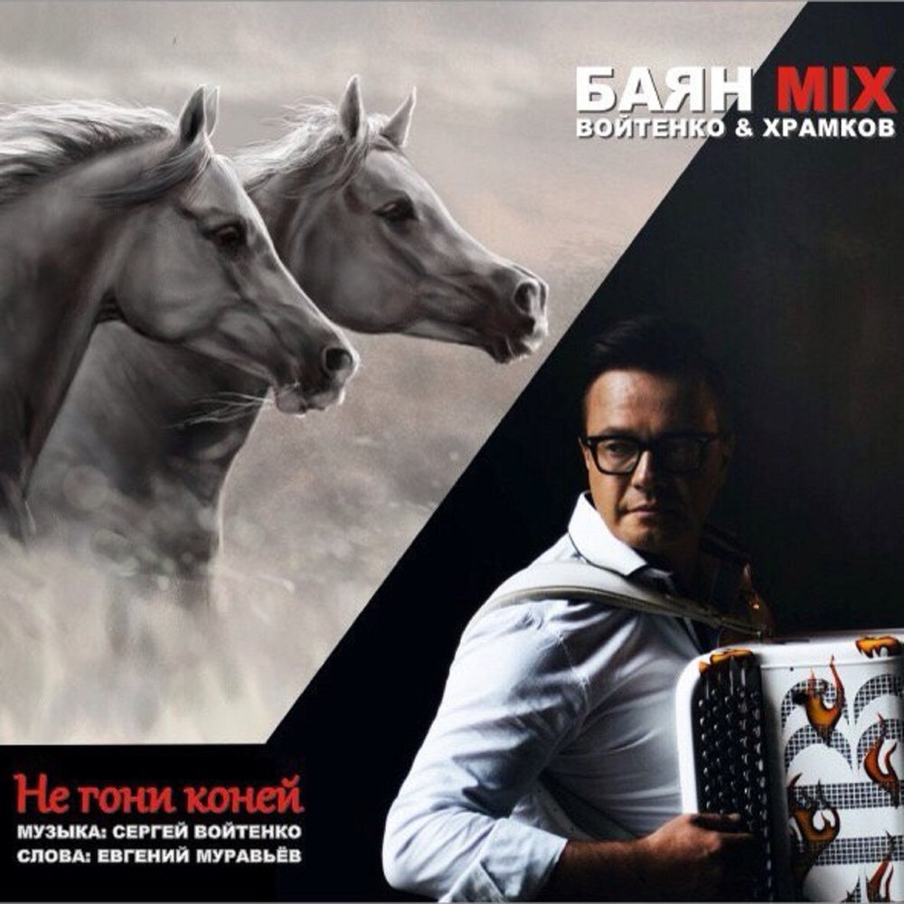Баян Микс Сергея Войтенко - Не гони коней фото