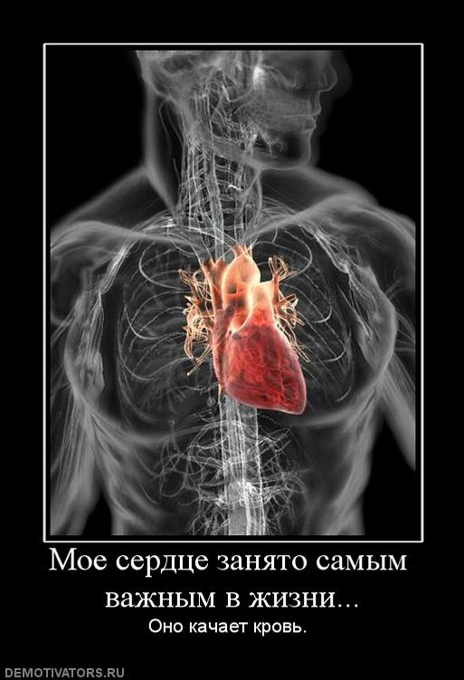 KA4KA.RU - Рустам Нахушев - Забрал я сердце (Музыка Юга.ру) фото