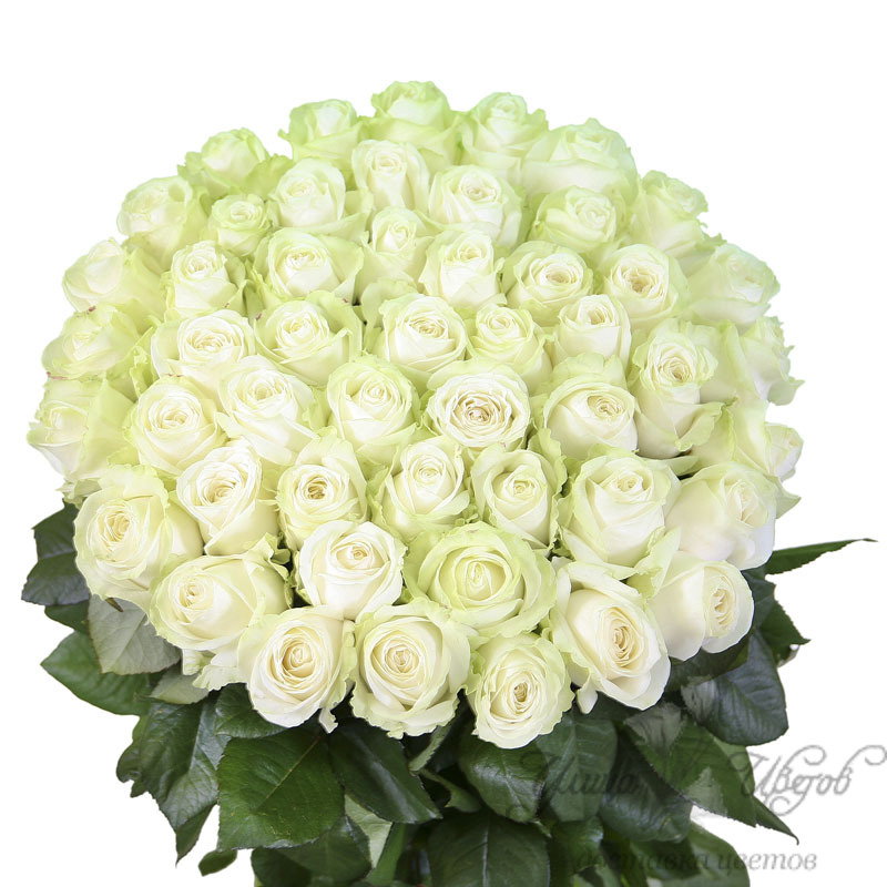 Королев Виктор Круг Ирина - Букет из белых роз фото