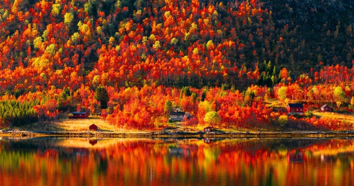 Осень золотая - Осень фото