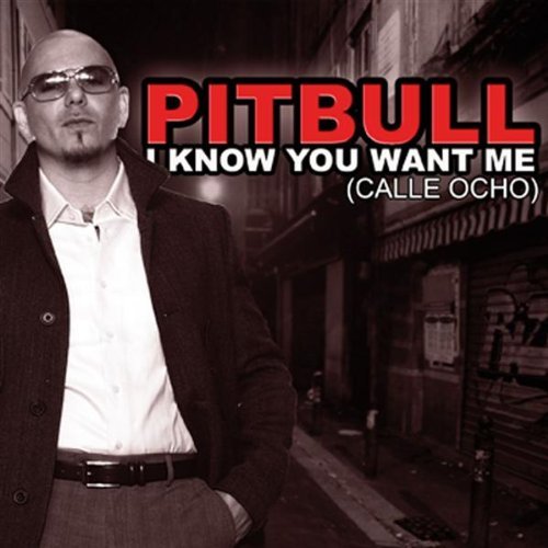 Pitbull - I Know You Want Me фото