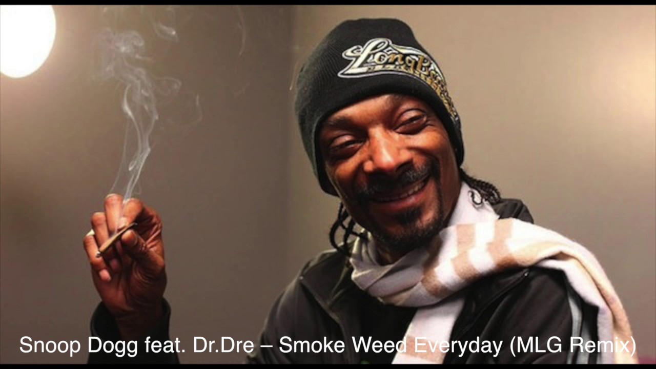 Snoop Dogg ft. Dr. Dre - Smoke Weed Everyday (MLG Remix) (zaycev.net) фото