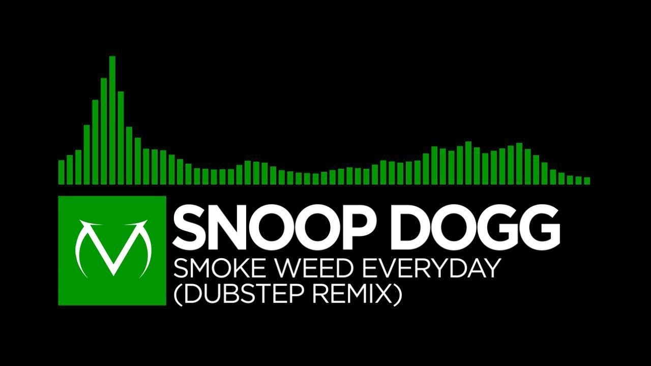 Snoop Dogg - Smoke Weed Everyday (Hold Up Remix) фото