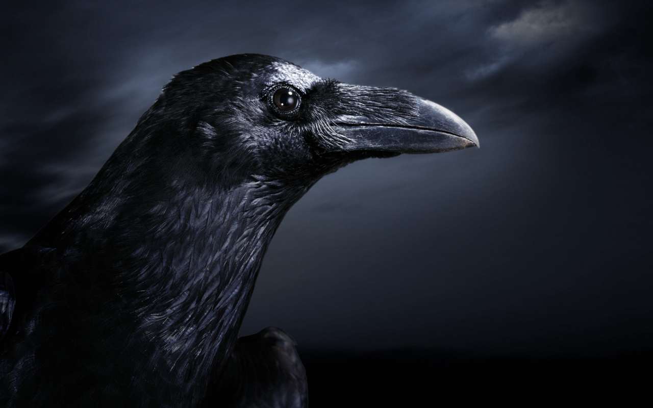 Южный Ильдар - Черным вороном ночь фото