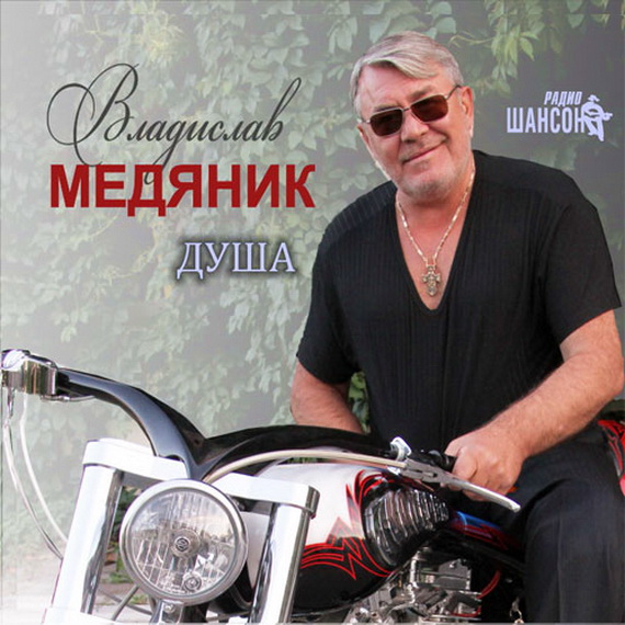 Владислав Медяник - Душа фото