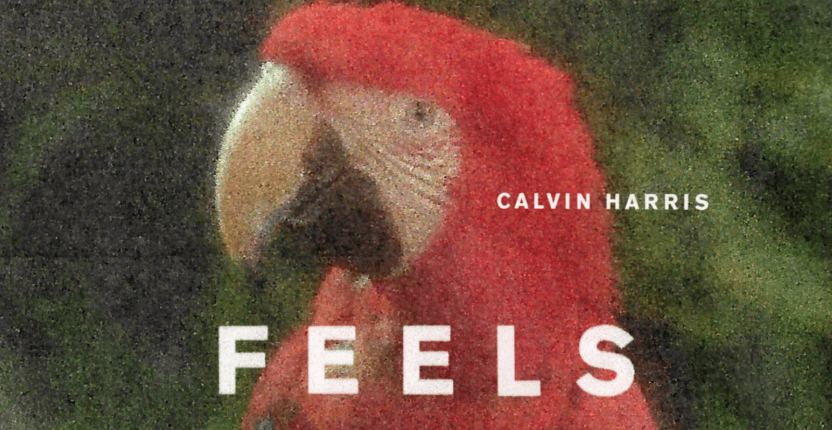 Calvin Harris - Feels (feat. Pharell Williams & Katy Perry & Big Sean) ░ ℳᗩℕ фото