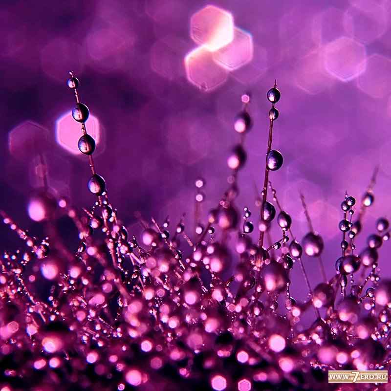 Розовые капли воды. Фиолетовые капли. Фиолетовый дождь. Фиолетовая капелька. Капли на фиолетовом фоне.
