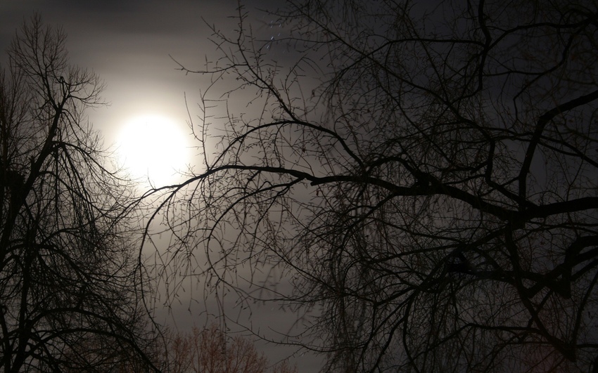 Луна - Осень фото
