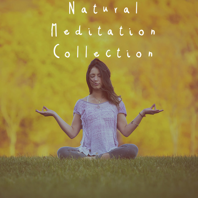 Meditation sounds. Песня track Relax Music. Релакс сборник m Seven. Мастер музыка релаксация. Collective Meditation.