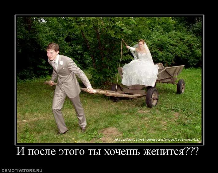 Айдамир Эльдаров я не женюсь - Не Женюсь я не женюсь фото