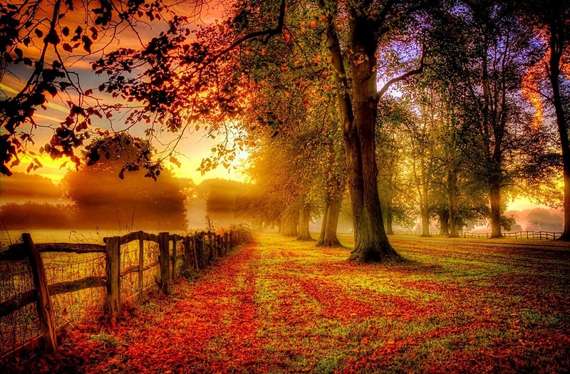 Бутырка - Осень фото