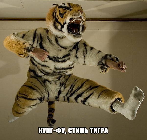 Оу-74 - Тигра Стиль фото